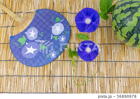 日本の夏の風物詩 56890978