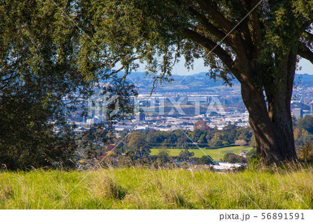 オークランドの街並み 56891591