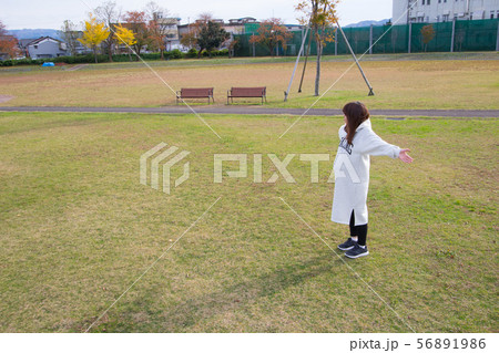 公園で体操する妊婦 56891986