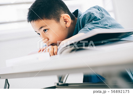男の子　小学生　勉強 56892175