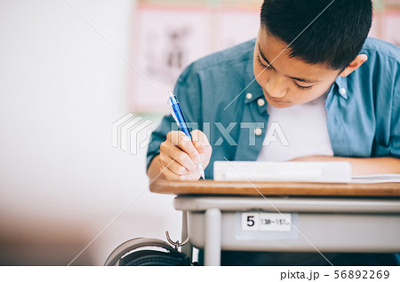 男の子　小学生　勉強 56892269