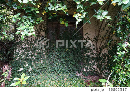 廃墟　香川　ドロイド医院　廃病院　内部　横撮り 56892517