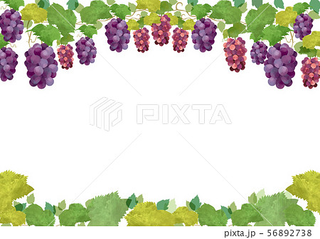 水彩画 ブドウの絵 木製フレーム付き 水彩画 ブドウの絵 木製フレーム付き ぶどうフレーム水彩画風