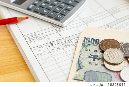 家計 家計簿 収支 記録 帳簿 家計 家計簿 収支 記録 帳簿 56893055