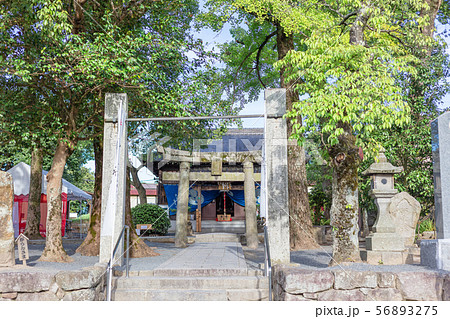 坂本八幡宮（大宰府政庁跡内）福岡県太宰府市 新元号「令和」ゆかりの地 56893275