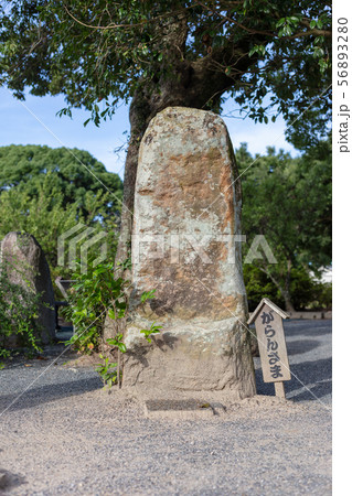 坂本八幡宮（大宰府政庁跡内）福岡県太宰府市 新元号「令和」ゆかりの地 56893280