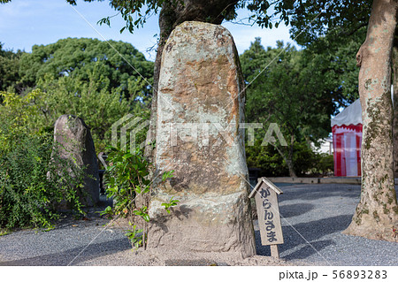 坂本八幡宮（大宰府政庁跡内）福岡県太宰府市 新元号「令和」ゆかりの地 56893283
