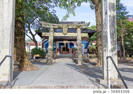 坂本八幡宮（大宰府政庁跡内）福岡県太宰府市 新元号「令和」ゆかりの地 56893306