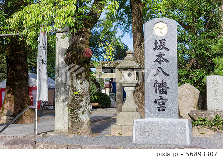 坂本八幡宮（大宰府政庁跡内）福岡県太宰府市 新元号「令和」ゆかりの地 56893307