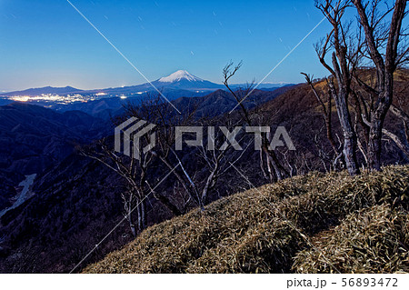 丹沢山から見る未明の富士山 56893472