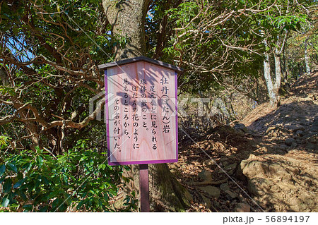 神奈川県伊勢原大山の牡丹岩(ぼたんいわ)の説明書き 神奈川県伊勢原大山の牡丹岩(ぼたんいわ)の説明書き 56894197