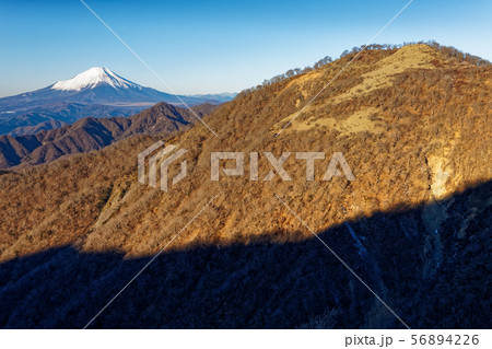 朝の丹沢山から見る富士山と不動ノ峰 56894226