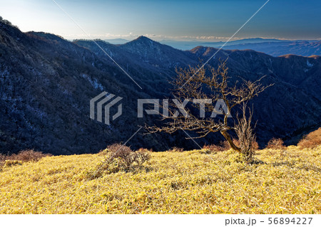 朝の丹沢稜線から見る塔ノ岳と鍋割山稜 56894227