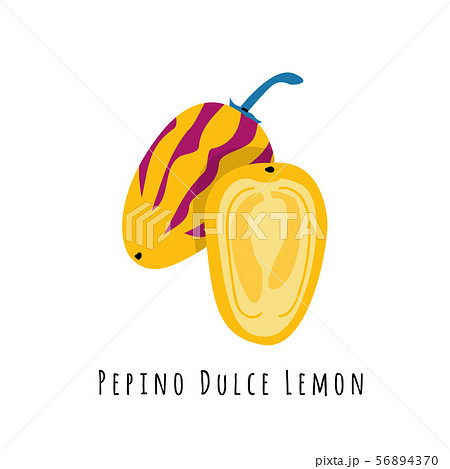 Pepino fruit flat vector illustration Pepino fruit flat vector illustration 56894370