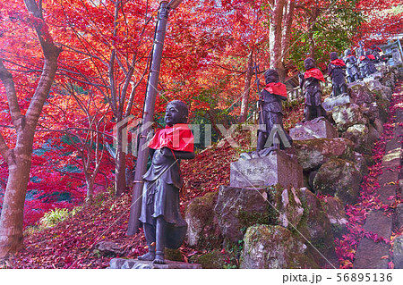 神奈川県伊勢原市の大山寺の石段脇の童子像と紅葉 神奈川県伊勢原市の大山寺の石段脇の童子像と紅葉 56895136