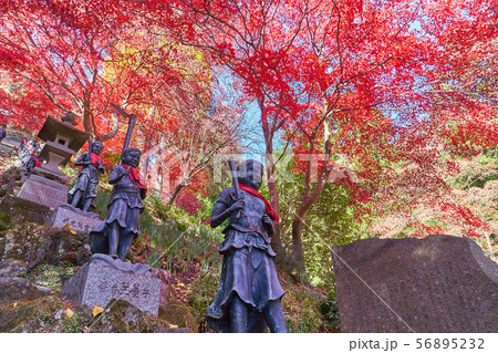 神奈川県伊勢原市の大山寺の石段脇の童子像と紅葉 56895232