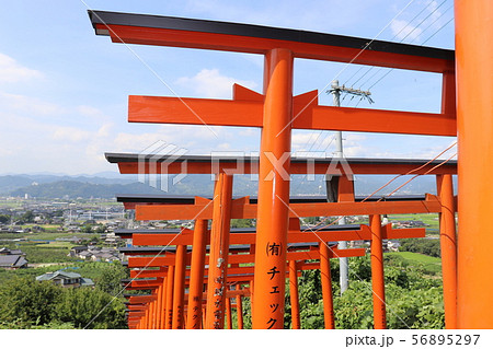 浮羽稲荷神社　福岡県　うきは市　鳥居 56895297