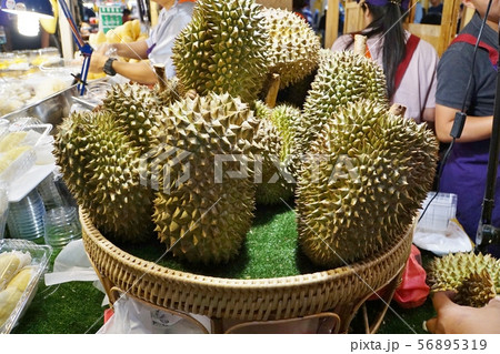ドリアン、durian、Durio zibethinus 56895319