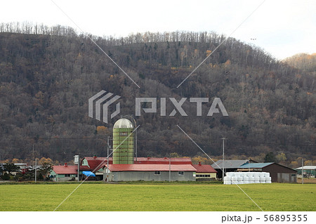 北海道 オホーツク地方 牧場のある風景 北海道 オホーツク地方 牧場のある風景 56895355