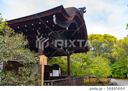 京都 青蓮院門跡 大玄関 京都 青蓮院門跡 大玄関 56895604