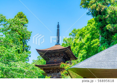 国宝大法寺三重塔　青木村　【長野県】 56895618