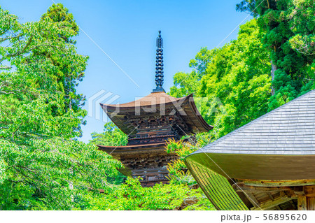 国宝大法寺三重塔　青木村　【長野県】 56895620