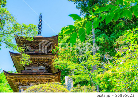 国宝大法寺三重塔 青木村 【長野県】 国宝大法寺三重塔 青木村 【長野県】 56895623