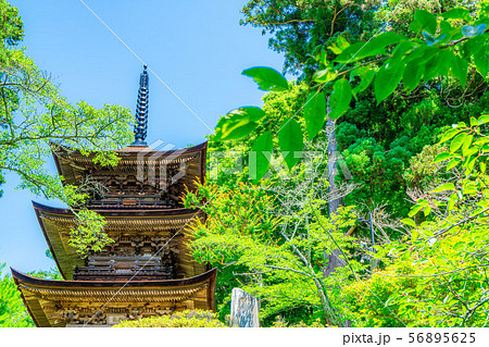 国宝大法寺三重塔 青木村 【長野県】 国宝大法寺三重塔 青木村 【長野県】 56895625
