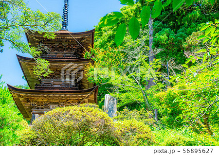 国宝大法寺三重塔　青木村　【長野県】 56895627