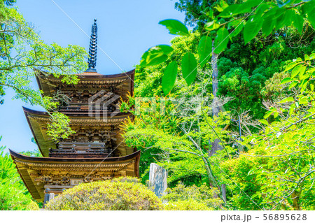 国宝大法寺三重塔 青木村 【長野県】 国宝大法寺三重塔 青木村 【長野県】 56895628