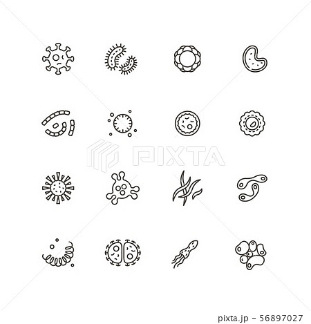 Microbes, virus and pathogen line icons. Bacteriology hygiene and infection outline vector isolated 56897027