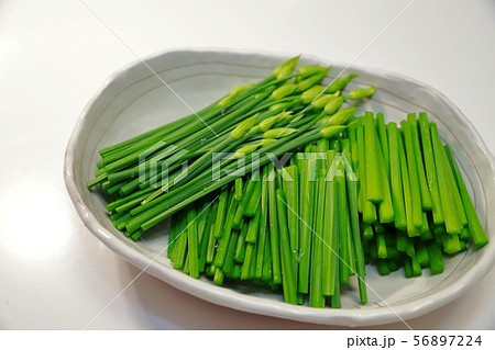 ニラの芽 56897224