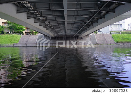 濁った隅田川 56897528