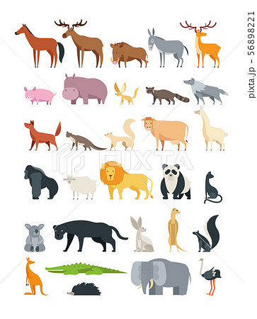 Cute cartoon animals. Forest, savannah and farm animal vector collection isolated on white 56898221