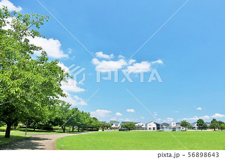 夏の青空と公園風景 夏の青空と公園風景 56898643