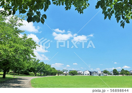夏の青空と公園風景 56898644
