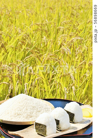 秋の田んぼと新米のおにぎり 秋の田んぼと新米のおにぎり 56898669