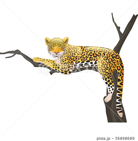 Cartoon leopard lying on a tree branch 56898689