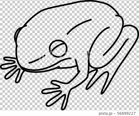 カエルのイラスト素材