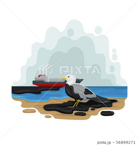 Seagull sits on an oil slick. Vectorのイラスト素材 [56899271 