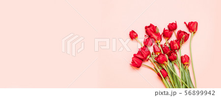 Beautiful red tulips on pink background flat lay. Lovely greeting card with tulips for Mothers day 56899942