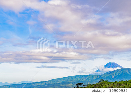 早朝の富士山　静岡県沼津市千本浜 56900985