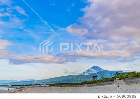 早朝の富士山　静岡県沼津市千本浜 56900988