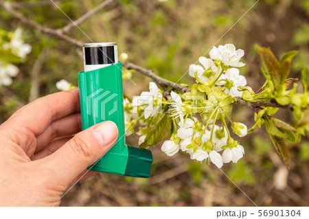 Asthma and COPD disease concept. Spring flowering trees Asthma and COPD disease concept. Spring flowering trees 56901304