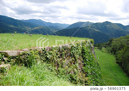 津和野城　100名城 56901375