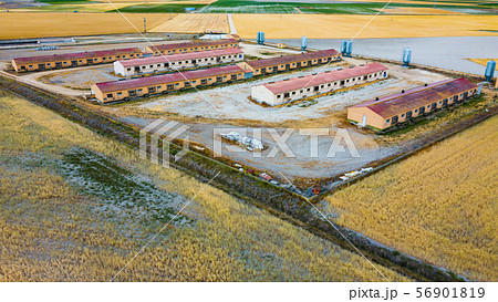 Pig farm in central Spain Pig farm in central Spain 56901819