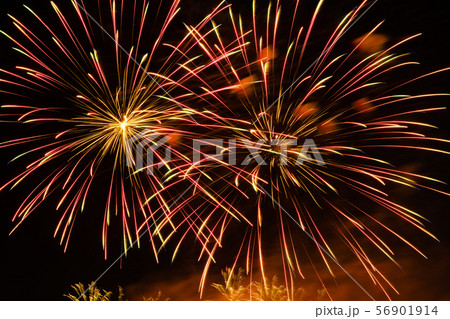 Colorful fireworks in night sky 56901914