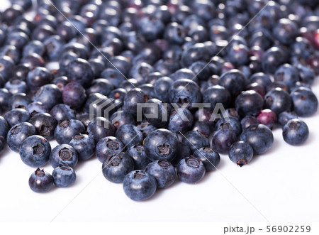 Many blueberries on white background 56902259