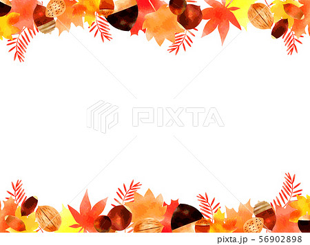 落ち葉と木の実のイラストフレームのイラスト素材