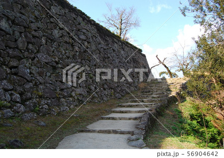 宇和島城　100名城 56904642